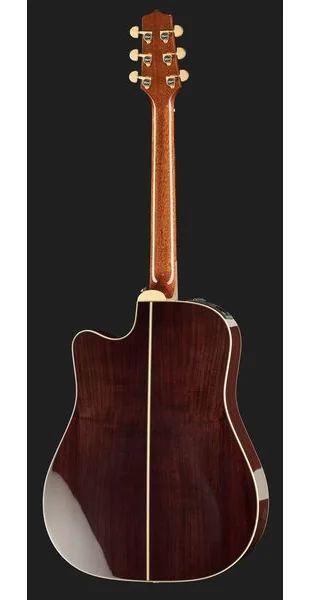 Takamine P5DC w/Softcase, lähikuva 3