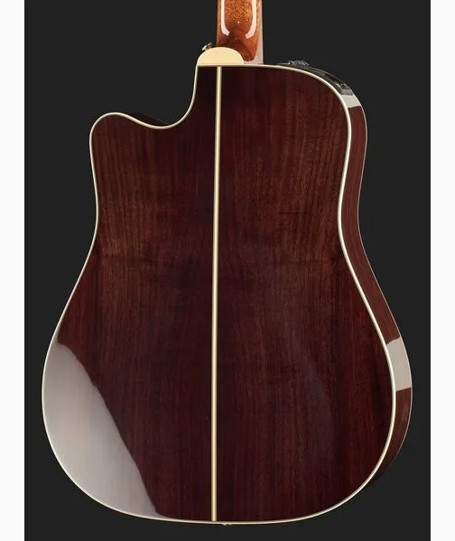 Takamine P5DC w/Softcase, lähikuva 5