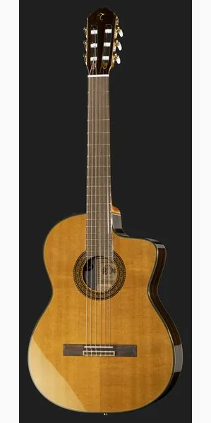 Takamine EC132SC w/Softcase, lähikuva 2