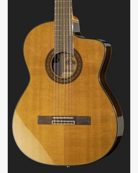 Takamine EC132SC w/Softcase, lähikuva 4