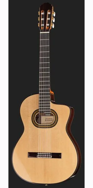 Takamine DH90 w/Softcase, lähikuva 2