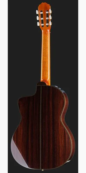 Takamine DH90 w/Softcase, lähikuva 3