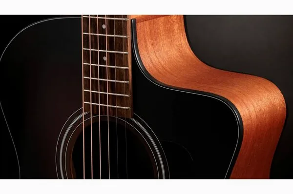 Taylor 114ce Special Edition DTB, lähikuva 3