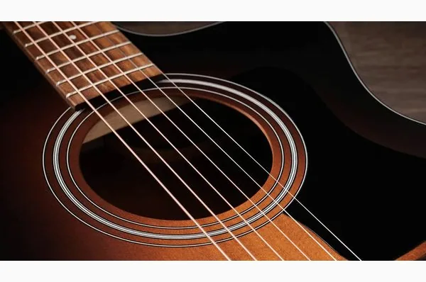 Taylor 114ce Special Edition DTB, lähikuva 4