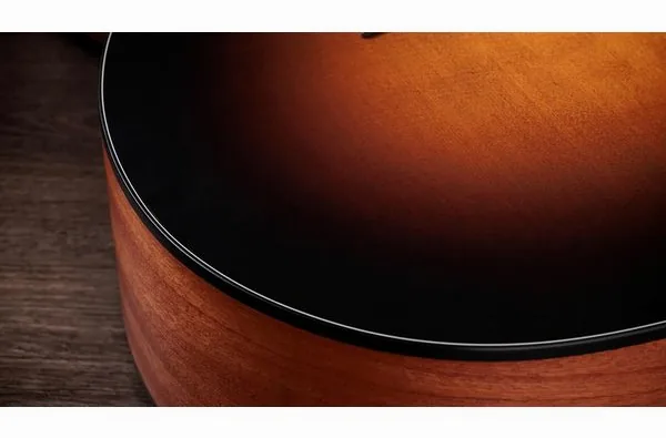 Taylor 114ce Special Edition DTB, lähikuva 5