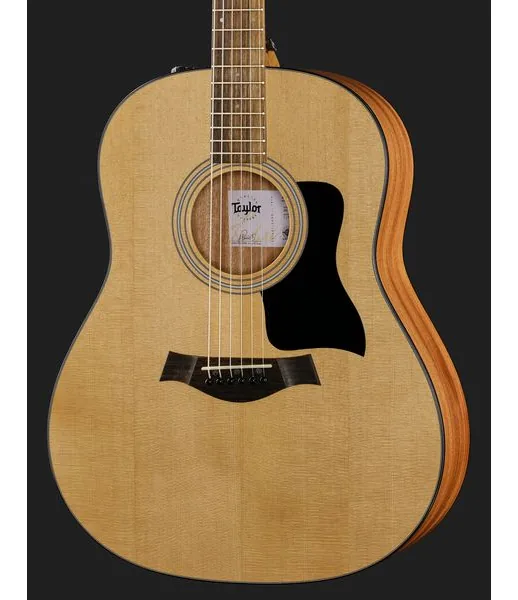 Taylor 117e Grand Pacific Eucalyptus, lähikuva 4