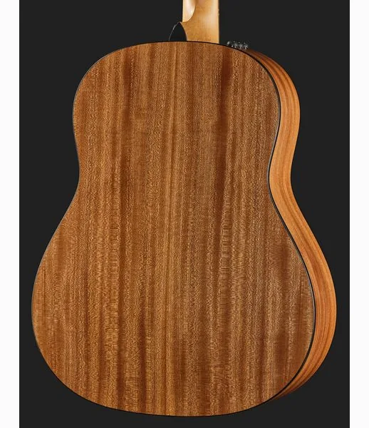 Taylor 117e Grand Pacific Eucalyptus, lähikuva 5