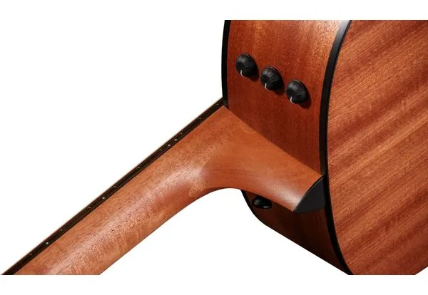 Taylor 117e Special Edition DTB, lähikuva 4