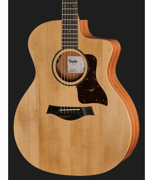 Taylor 14ce, lähikuva 4