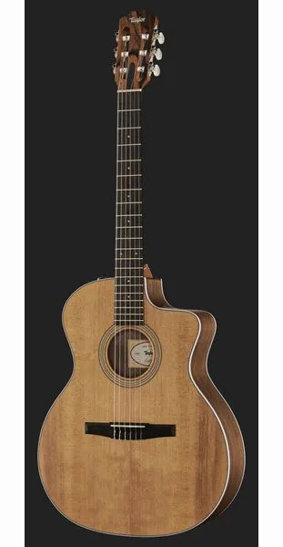 Taylor 214ce-N Spruce/Walnut, lähikuva 2
