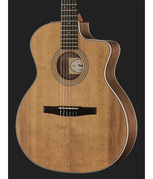 Taylor 214ce-N Spruce/Walnut, lähikuva 4