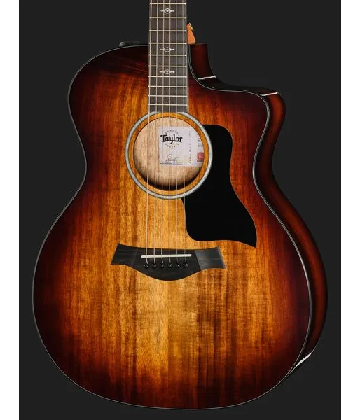 Taylor 224ce-K DLX, lähikuva 4