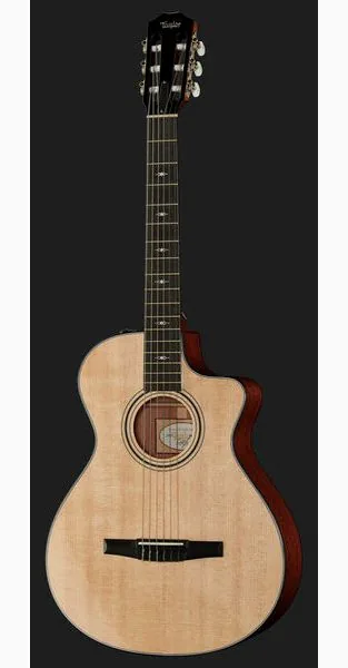 Taylor 312ce-N Nylon, lähikuva 2