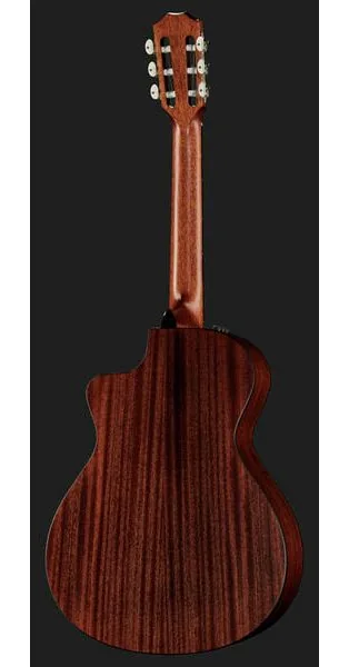 Taylor 312ce-N Nylon, lähikuva 3