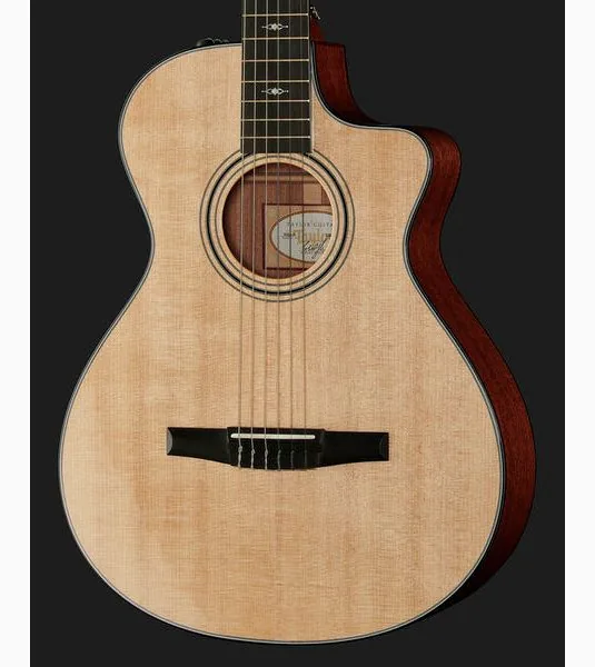Taylor 312ce-N Nylon, lähikuva 4