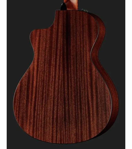 Taylor 312ce-N Nylon, lähikuva 5