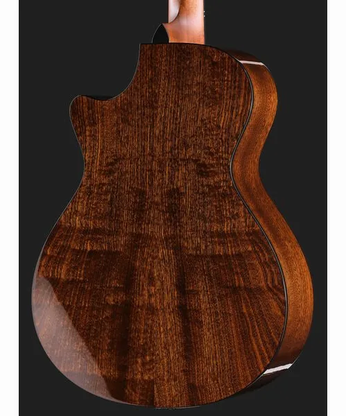 Taylor 312ce Next Generation, lähikuva 5