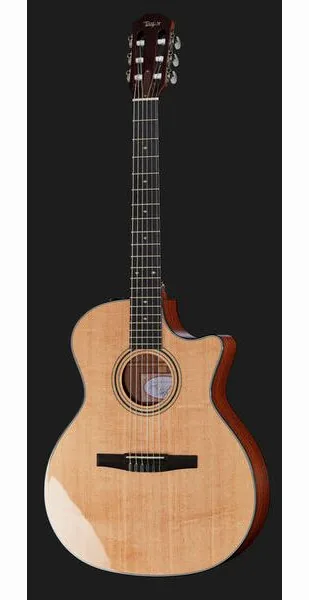 Taylor 314ce-N, lähikuva 2