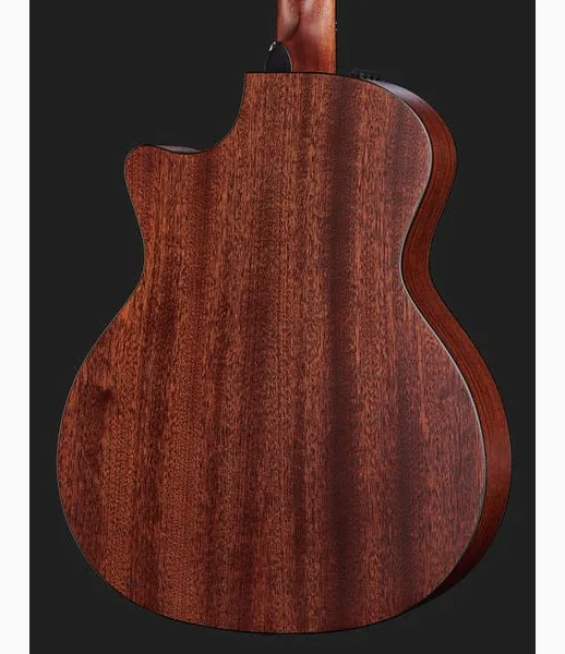 Taylor 314ce-N, lähikuva 5