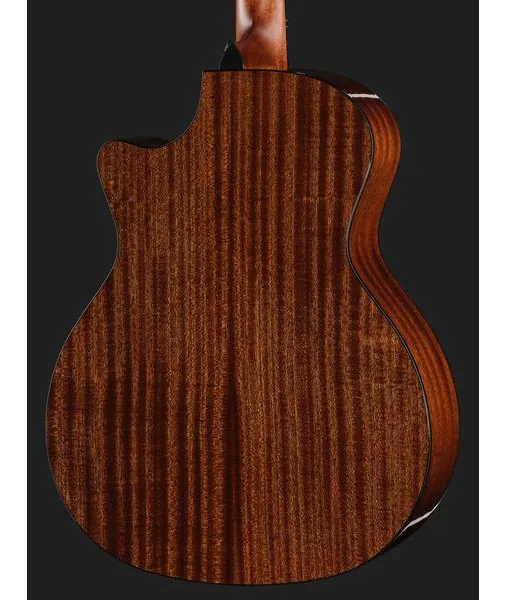 Taylor 314ce Next Generation, lähikuva 5