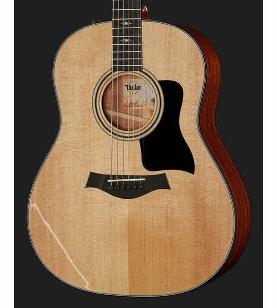 Taylor 317e V-Class, lähikuva 4