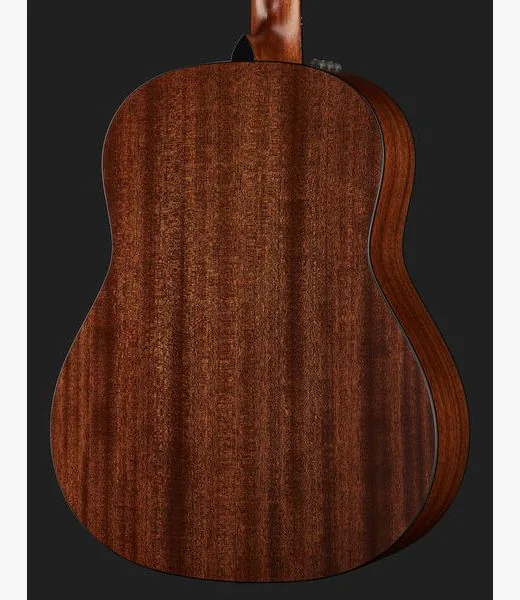Taylor 317e V-Class, lähikuva 5
