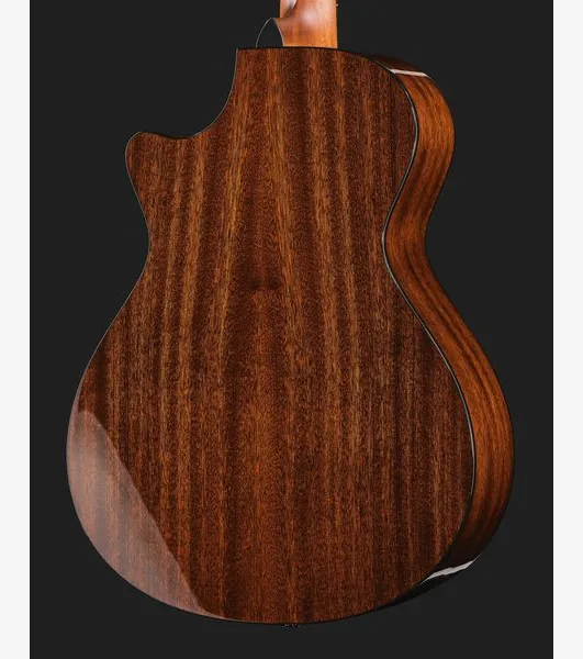 Taylor 322ce Next Generation, lähikuva 5