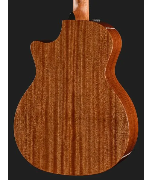 Taylor 354ce Studio Special Edition H, lähikuva 5