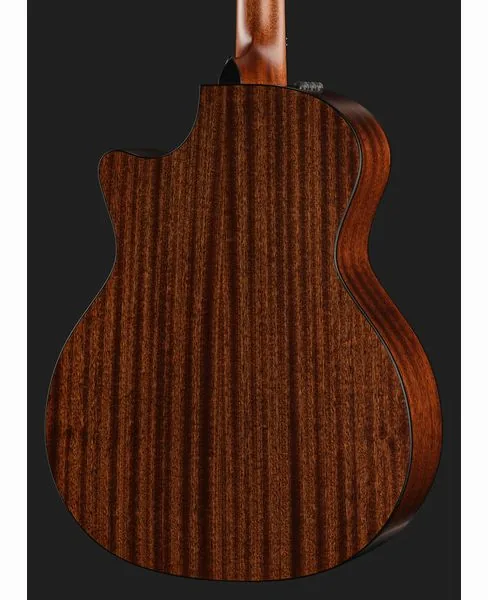 Taylor 354ce, lähikuva 5