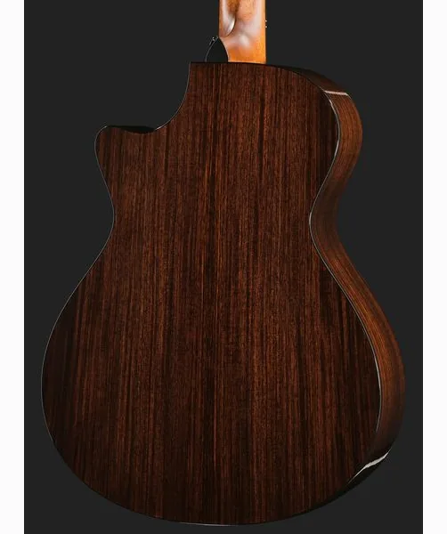 Taylor 412ce Next Generation, lähikuva 5