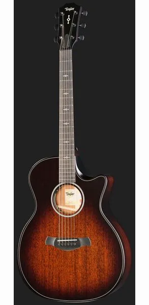 Taylor BE 324ce Next Generation, lähikuva 2