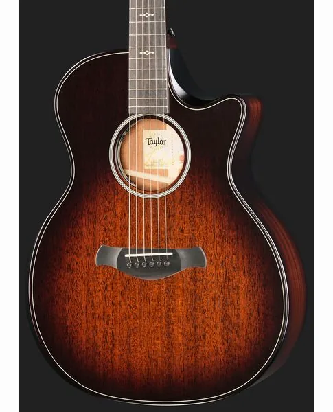 Taylor BE 324ce Next Generation, lähikuva 4