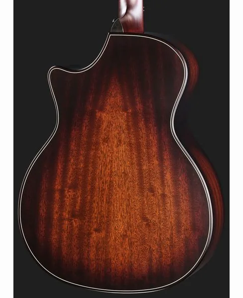 Taylor BE 324ce Next Generation, lähikuva 5