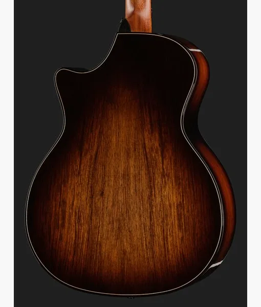 Taylor BE 814ce Adirondack Next Gen, lähikuva 5