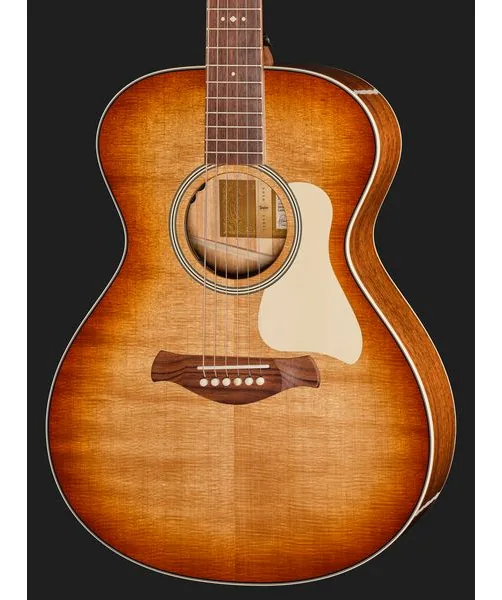 Taylor Ben Harper Gold Label 512e SEB, lähikuva 4