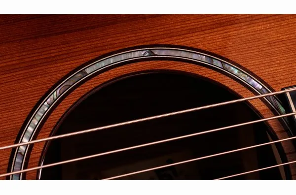 Taylor Builder’s Ed. 814ce Sinker, lähikuva 4