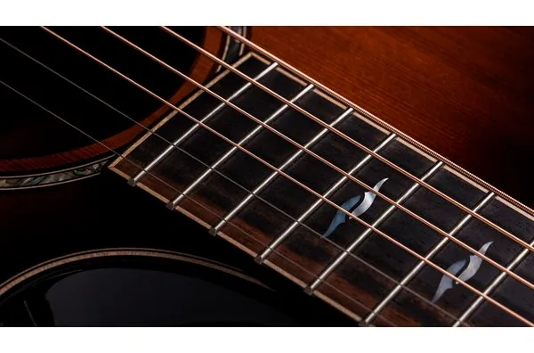 Taylor Builder’s Ed. 814ce Sinker, lähikuva 5