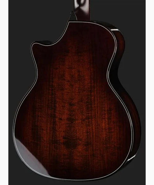 Taylor Builders Edition 514ce Next Ge, lähikuva 5
