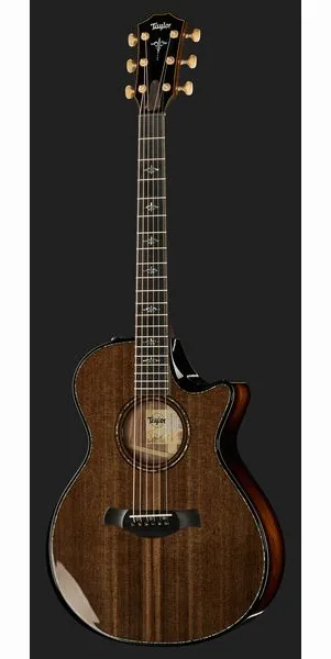 Taylor Builders Edition 912ce Sinker, lähikuva 2