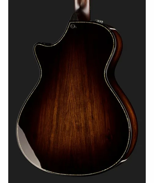 Taylor Builders Edition 912ce Sinker, lähikuva 5