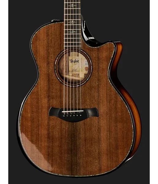 Taylor Builde`s Edition 914ce, lähikuva 4