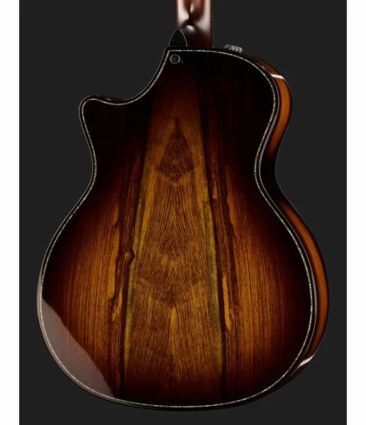 Taylor Builde`s Edition 914ce, lähikuva 5