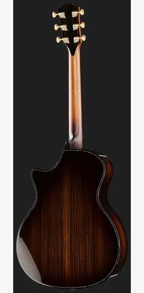 Taylor C14ce B6008 Custom #8, lähikuva 3