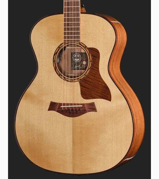 Taylor C14e B6011 Custom #11, lähikuva 4