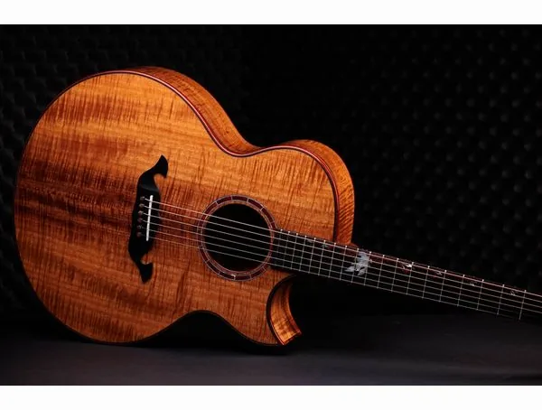 Taylor C25ce B6005 Custom #5, lähikuva 2