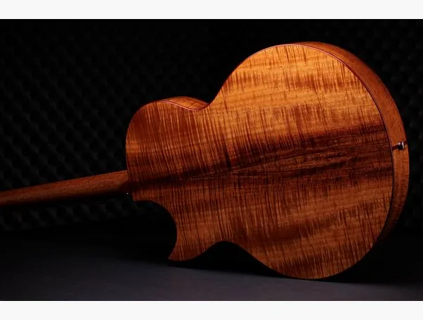 Taylor C25ce B6005 Custom #5, lähikuva 3