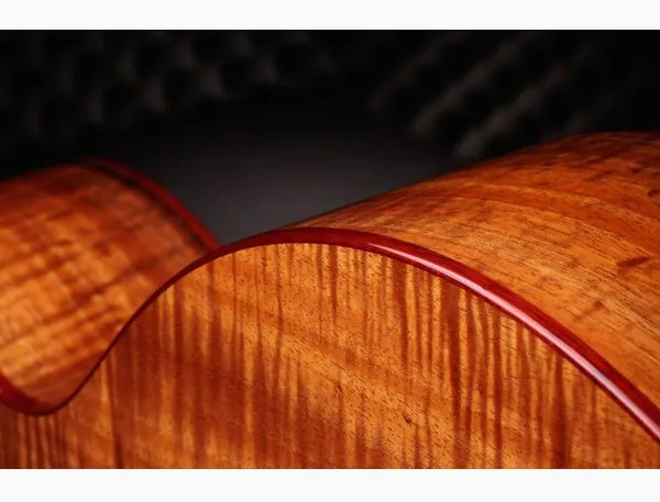 Taylor C25ce B6005 Custom #5, lähikuva 4