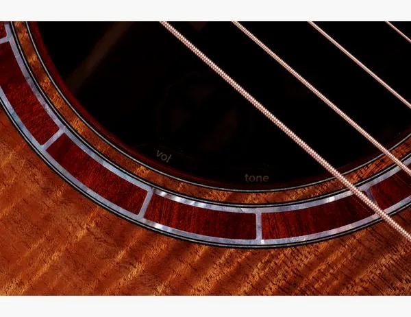 Taylor C25ce B6005 Custom #5, lähikuva 5