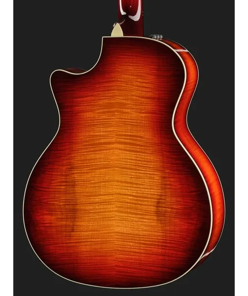 Taylor Custom #18: C14ce B5018, lähikuva 5