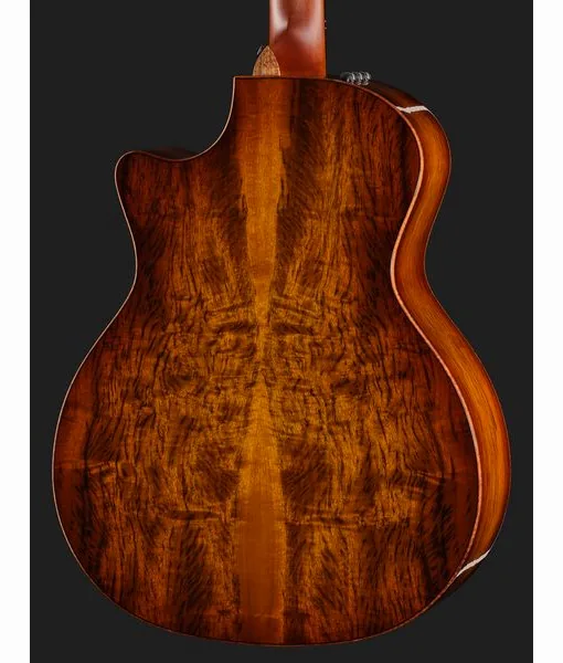 Taylor Custom #36: The Bengal, lähikuva 5